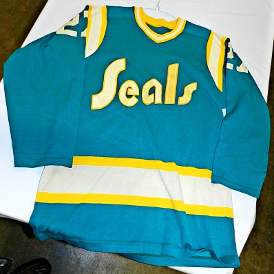 Third String Goalie: 1974-75 California Golden Seals Marv Edwards Jersey